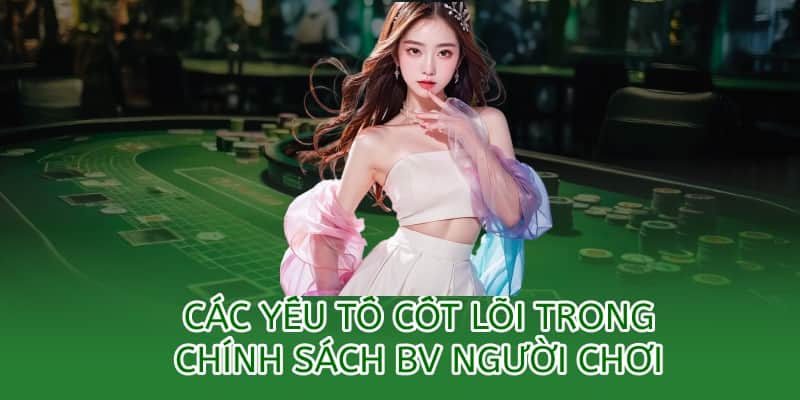 các yếu tố cốt lõi trong chính sách bảo vệ người chơi